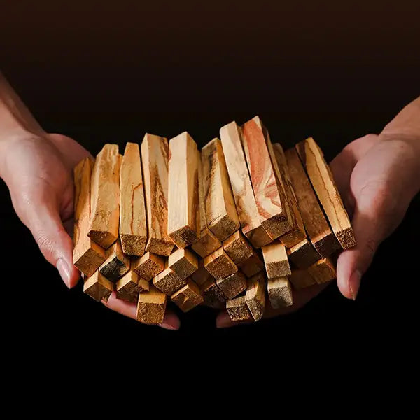 Bâtonnets de Palo Santo - Purifiez et Harmonisez votre Intérieur dans les mains kaosix